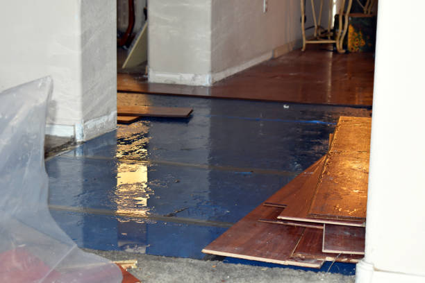 Professional Water Damage technician working in Jay, FL